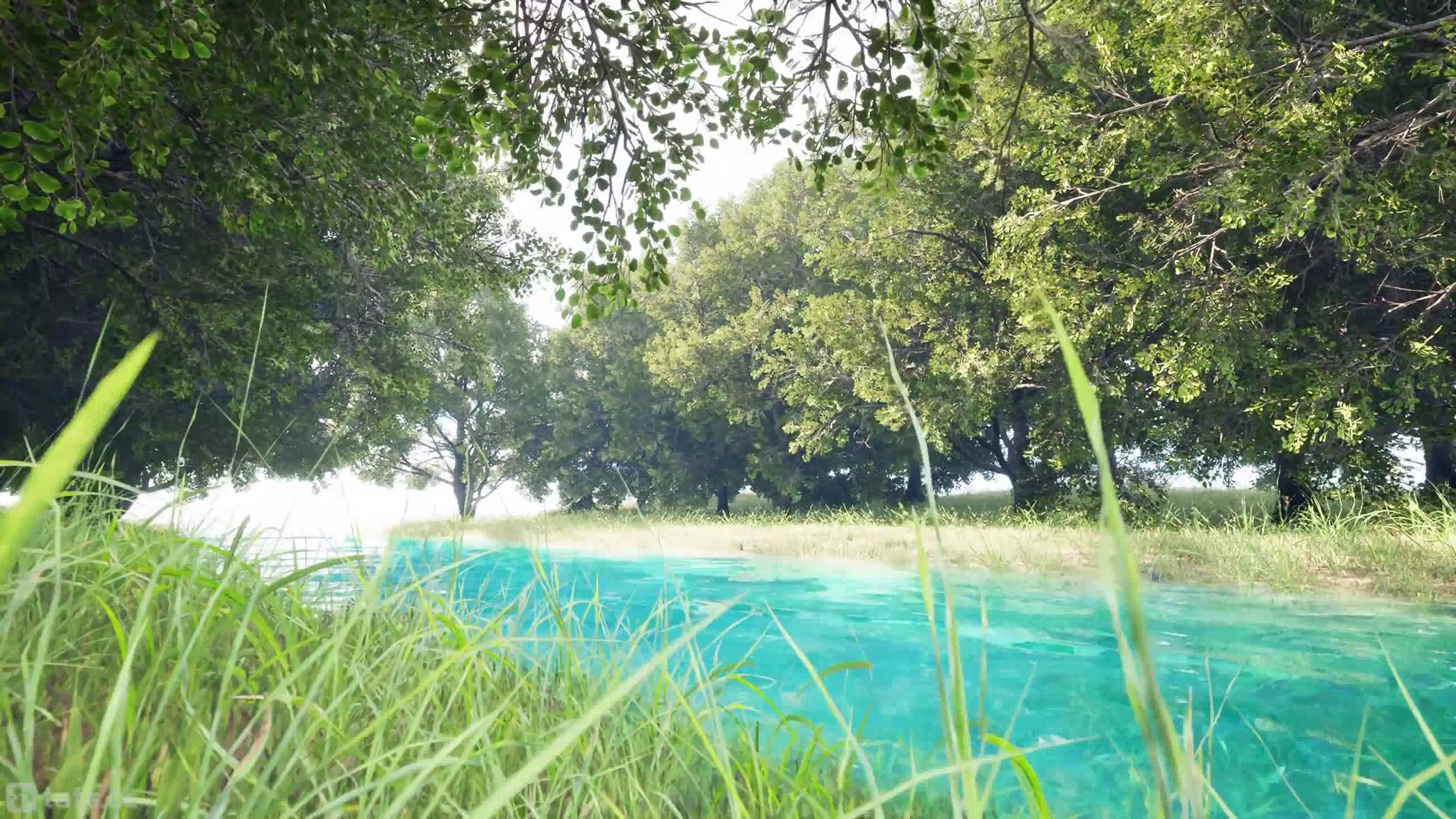 ��ʱ18 �������.��Ƭ����.��Ƭ�����㼼�ɣ�