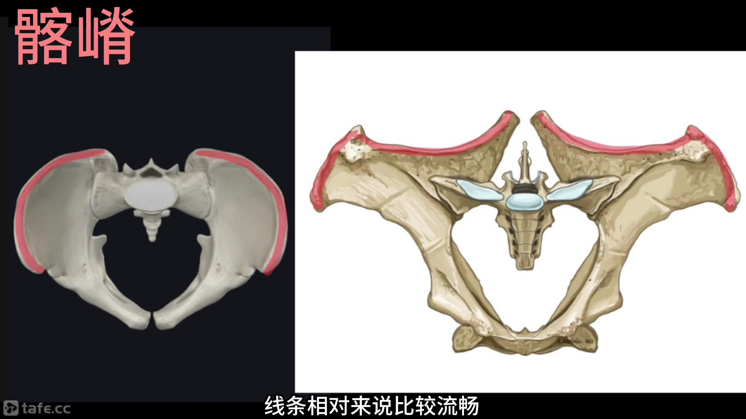 ʱ4붯ڽṹϵ