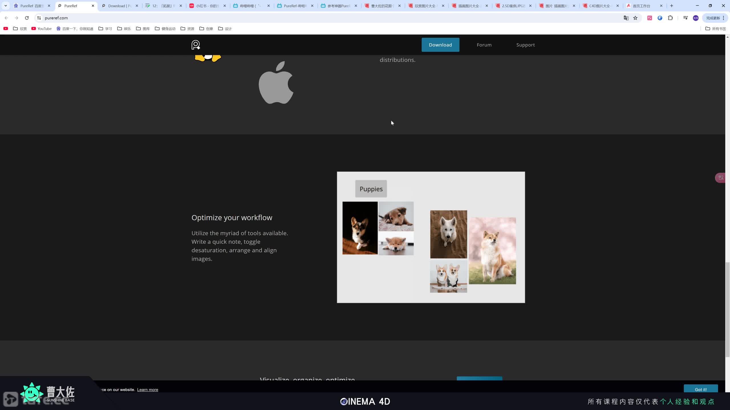 ��ʱ185���ο�����PureRef��װ