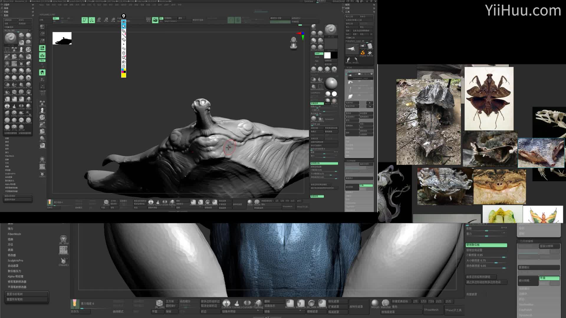 ���� ����2