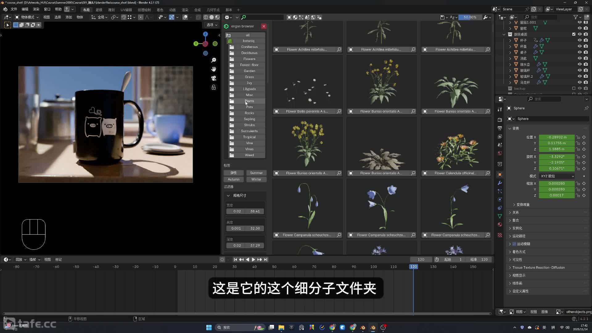 32.ֲ������