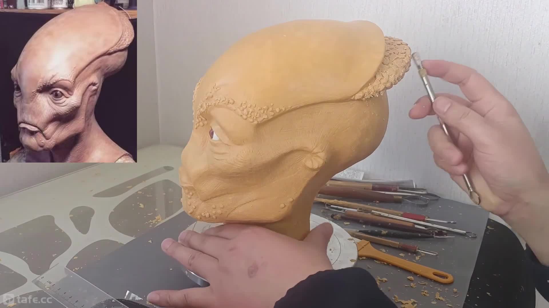 6.����03��