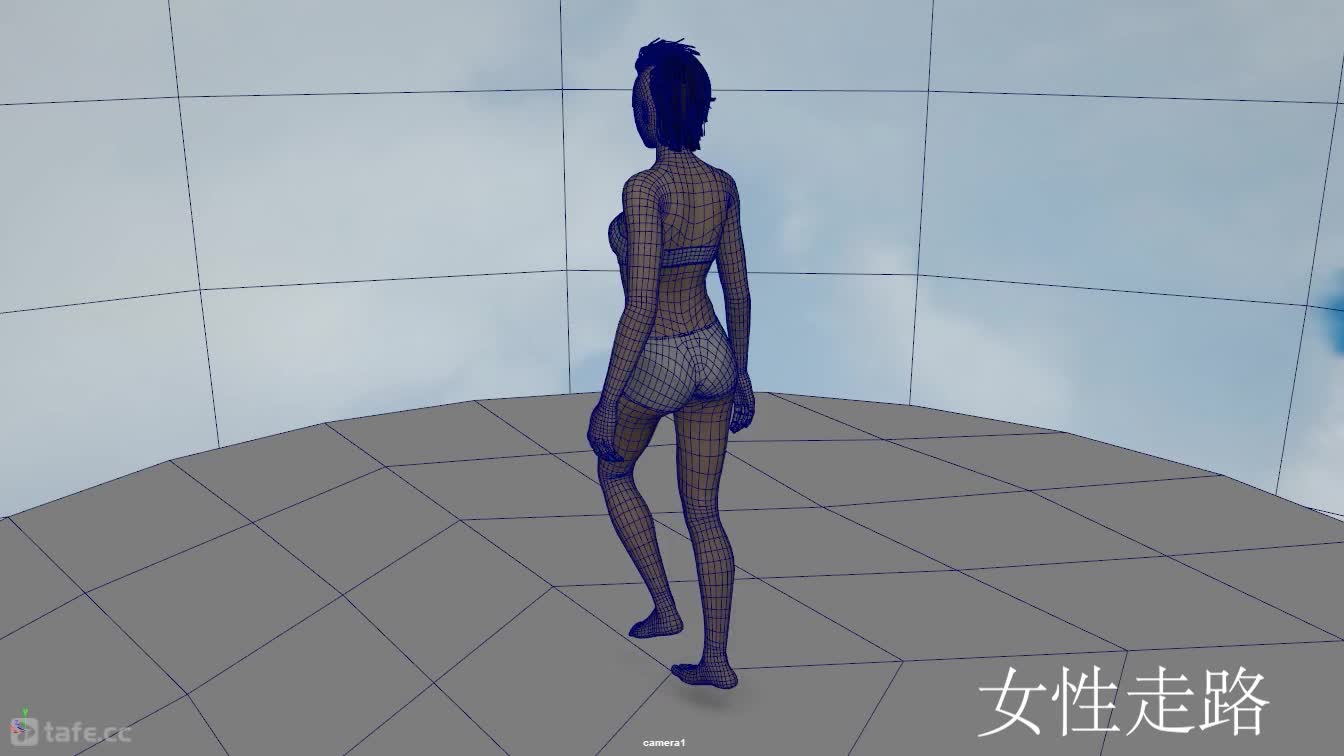 3.�γ̰����ϼ�