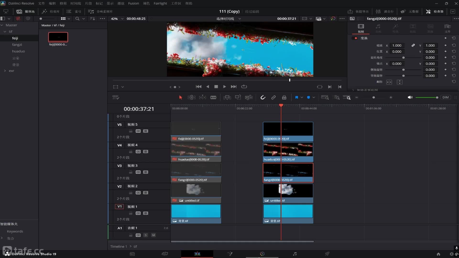 ��ʱ19����������յ�ɫ��Ⱦ