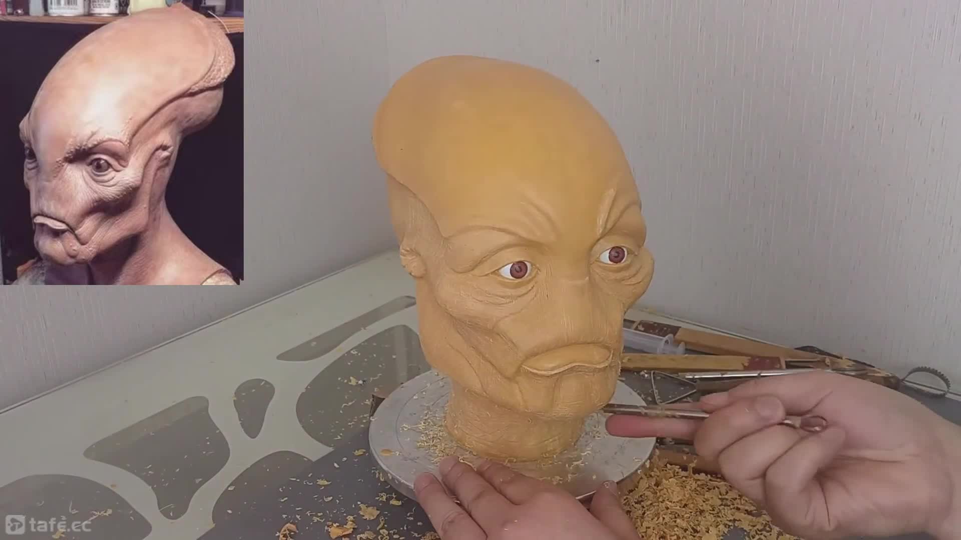 5.����03��