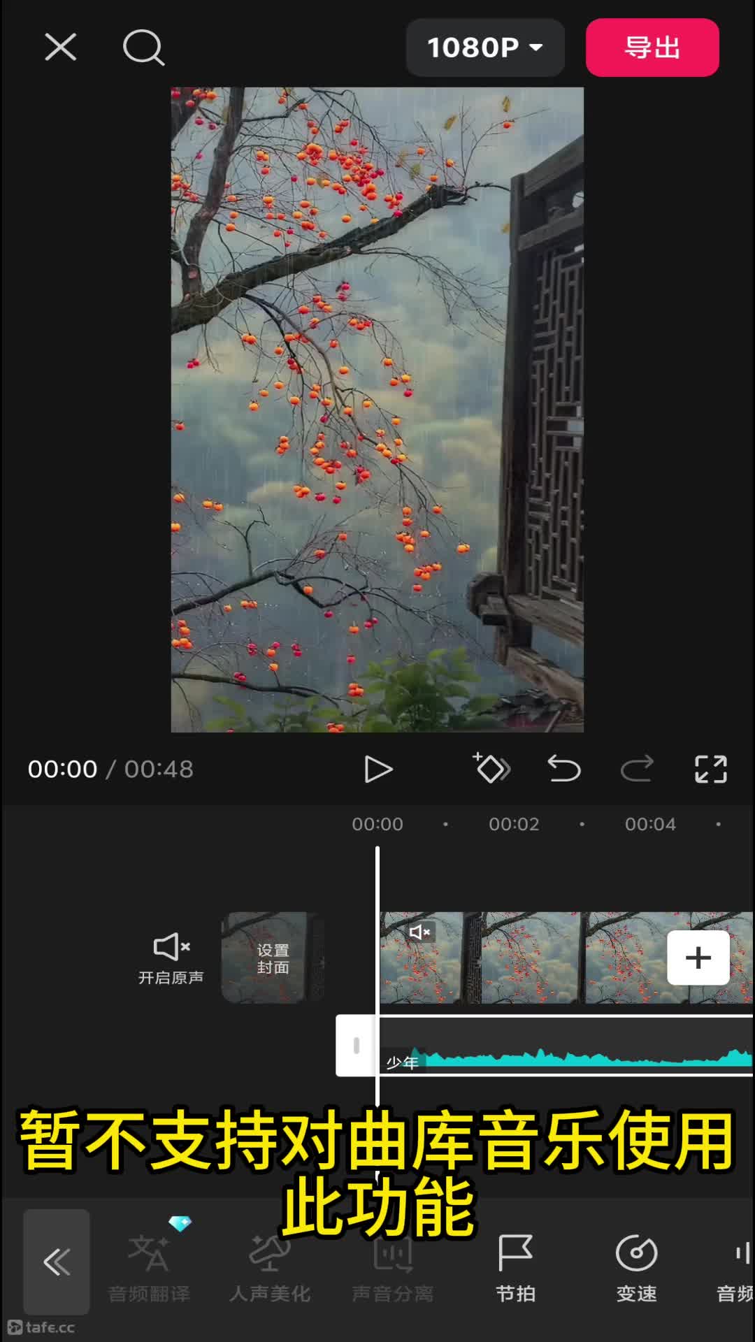 15�ֻ���ӳ��������&��Ƶ����
